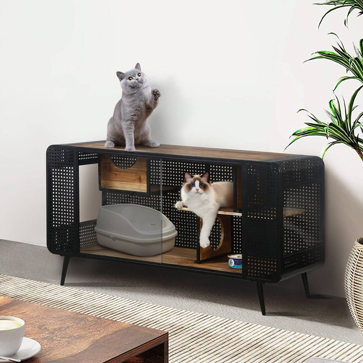 Modern indoor cat condo with glass