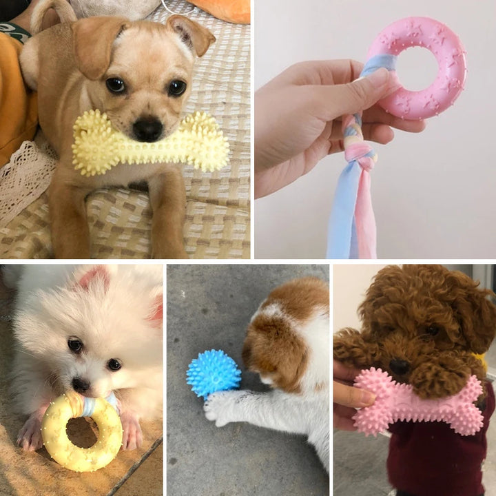 Molar Cleaning Toy for Puppies