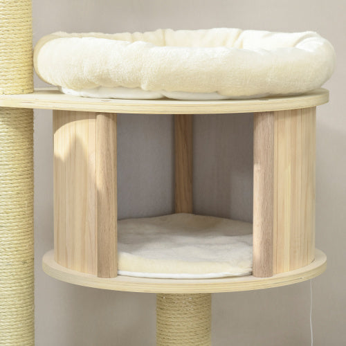 Multi-level cat activity center indoor
