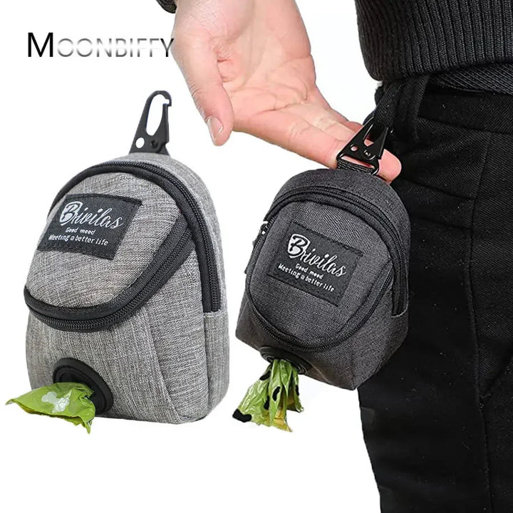 Multifunction dog training bag