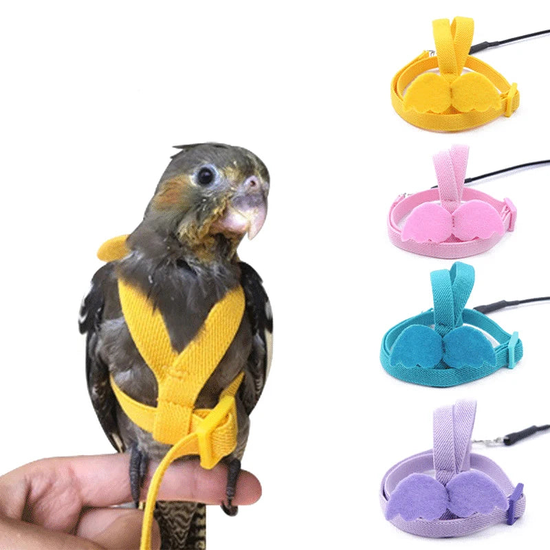 Multiple Colours of Parrot Harness Leash Suit