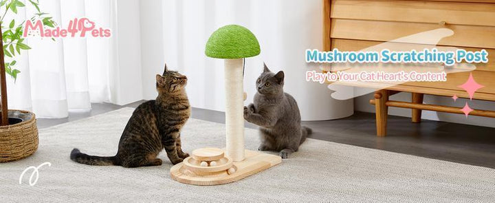 Mushroom cat scratching board