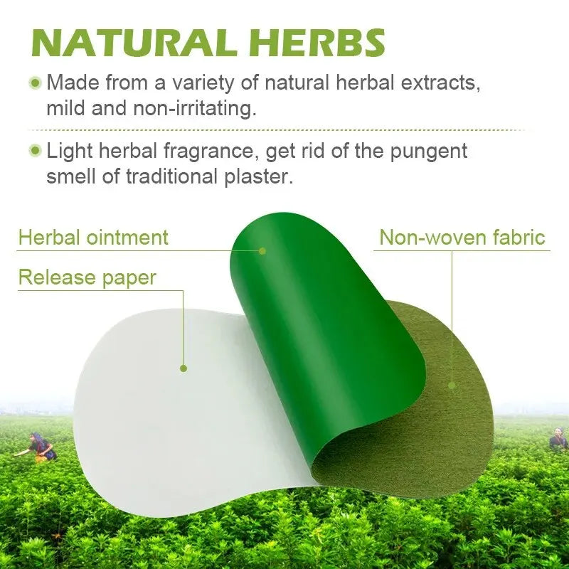 Natural body cleansing wormwood foot patches