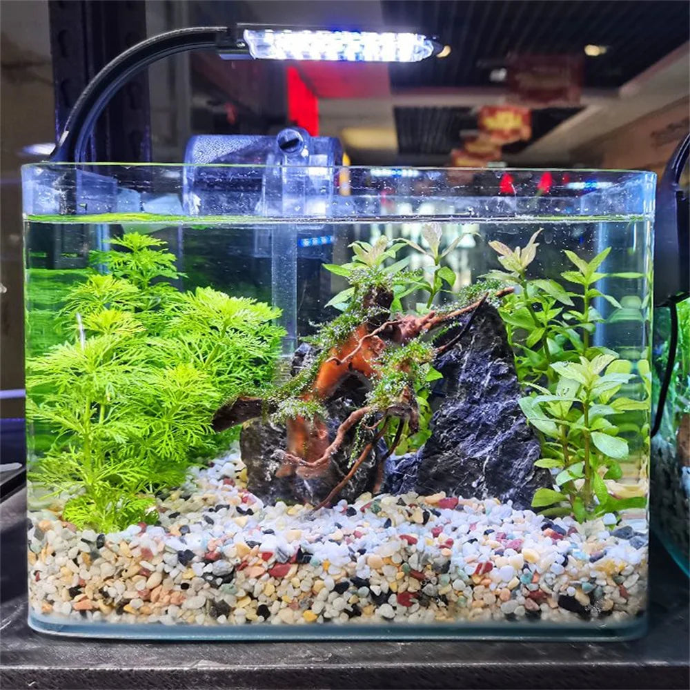 Natural crystal gravel for vibrant aquascaping.