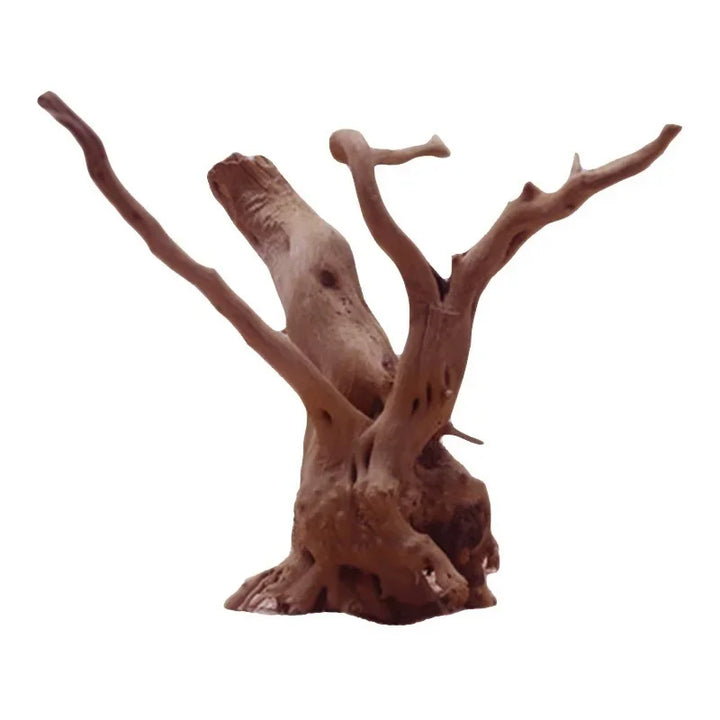 Natural tree wood for aquariums