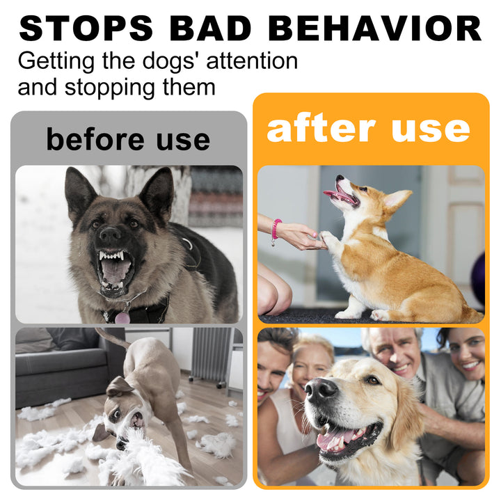 Neighbor Dog Control