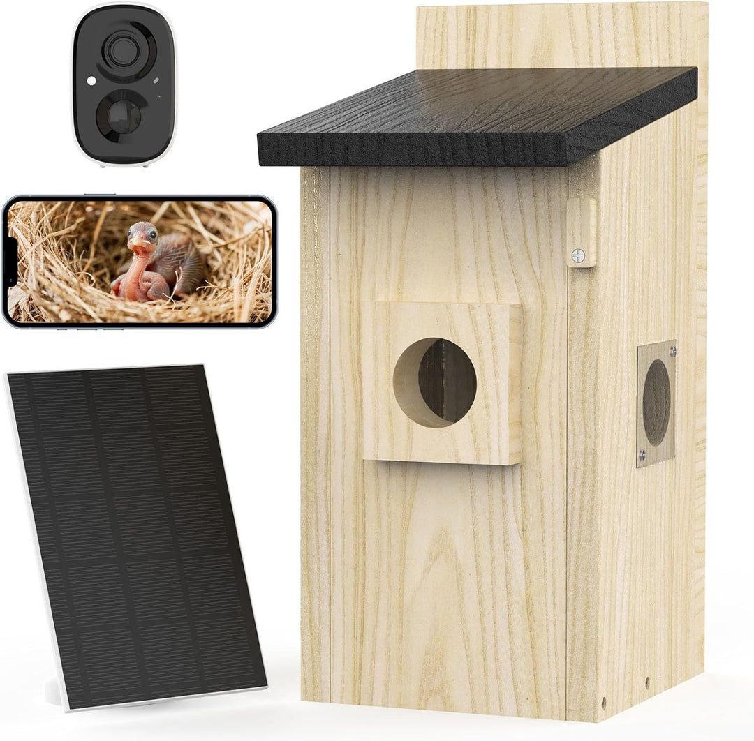 Nesting bird camera