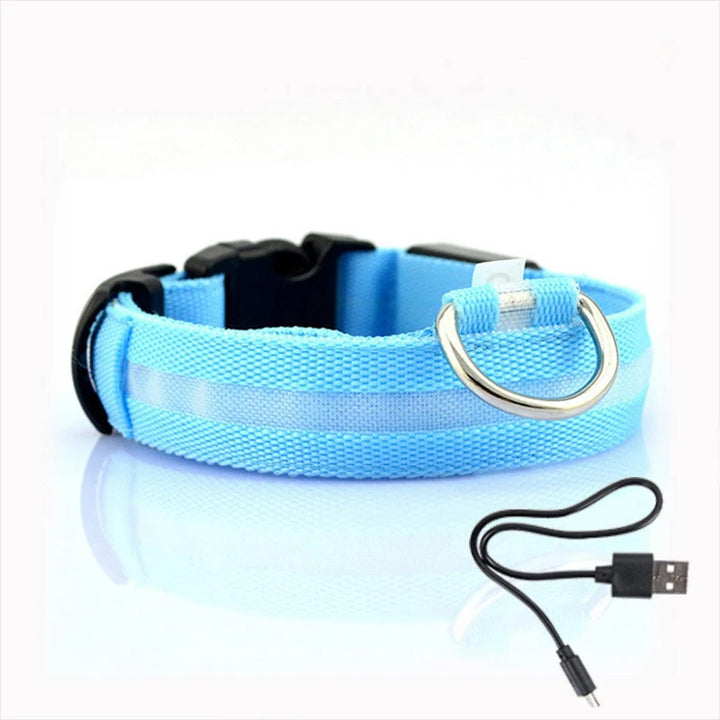 Night Luminous Dog Collar with Battery