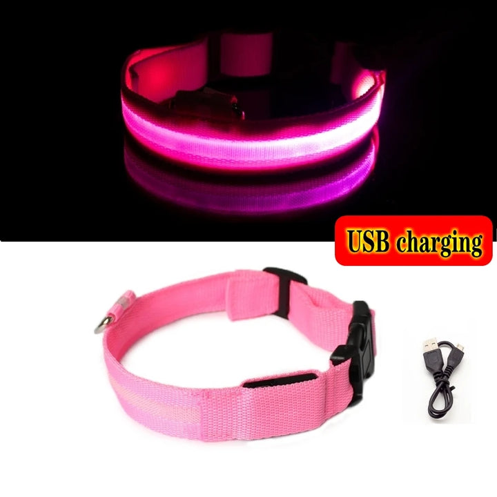 Nighttime Dog Collar with Luminous LED