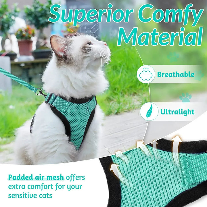 No-Pull Cat Harness Set