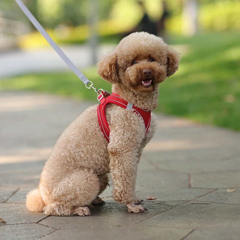 No-Pull Pet Harness Vest