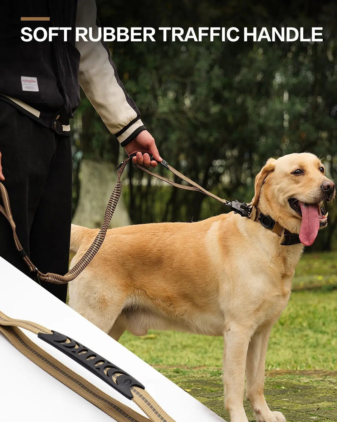 No-pull leash with shock absorption