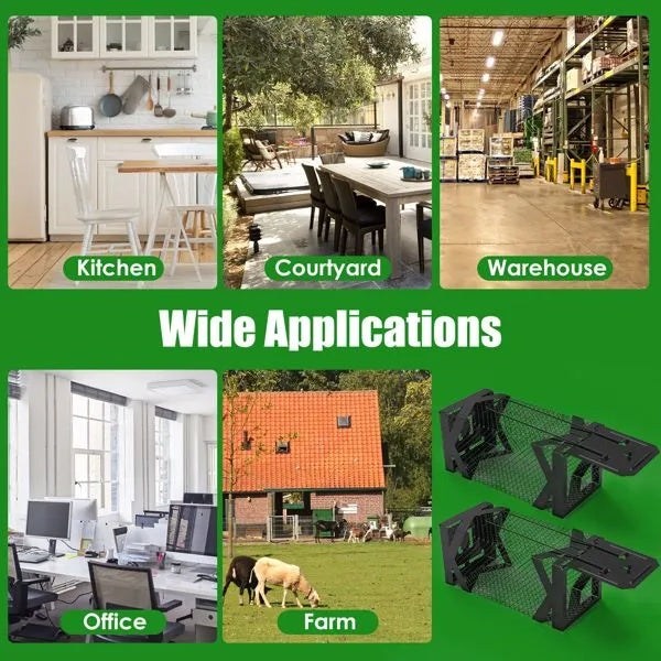 Non-lethal mouse catching device