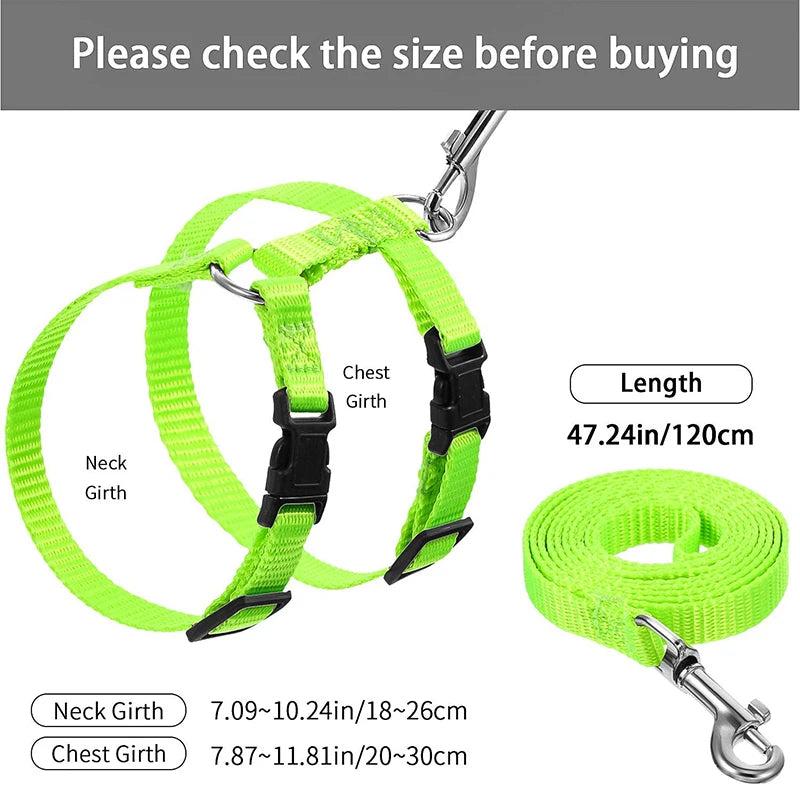 Nylon Harness for Bunny and Kitten
