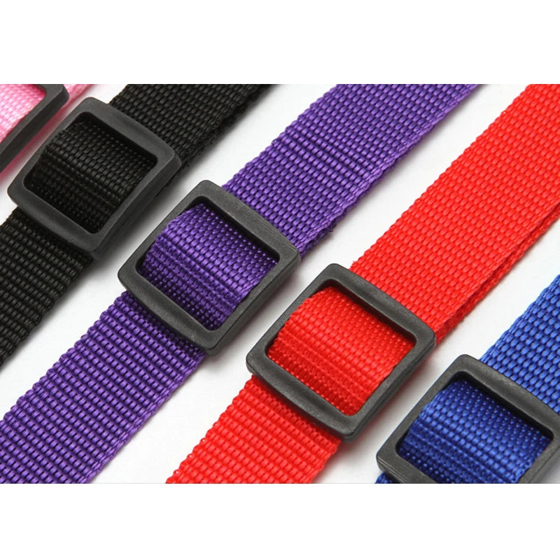 Nylon Lead Dog Car Belt