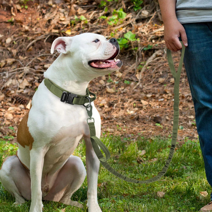 Nylon Tactical Dog Collar with Breakaway Rope
