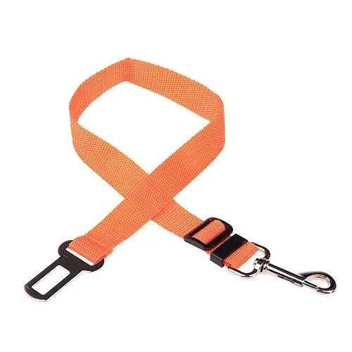 Orange Belt For Dogs 