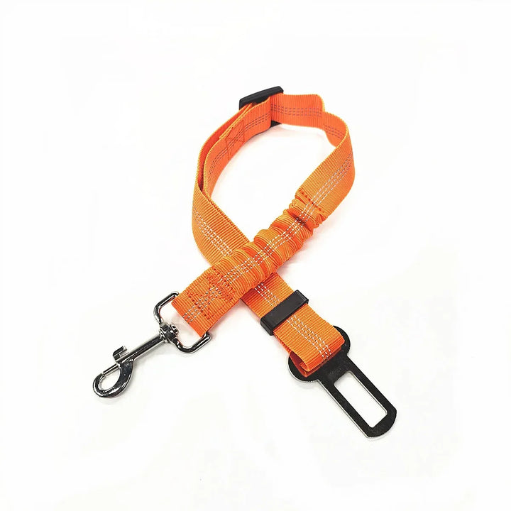 Orange Belt For Dogs And Cats