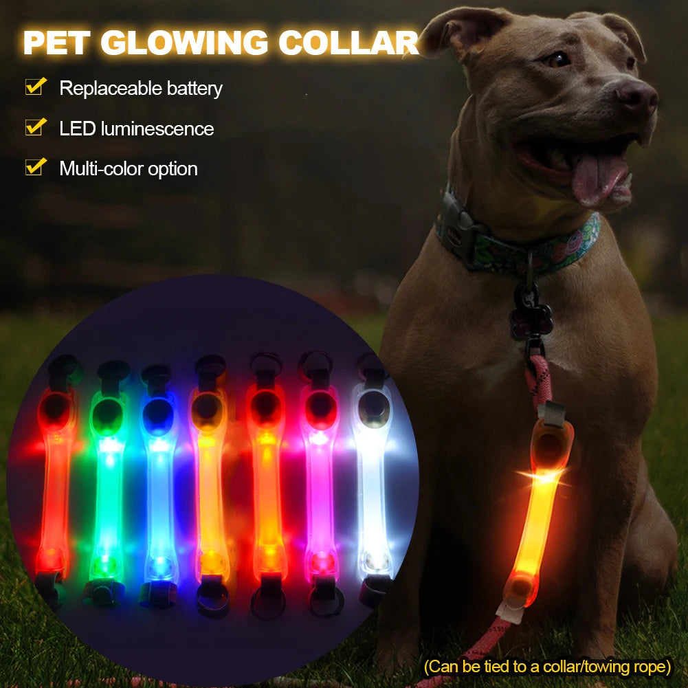 Outdoor Dog Collar with LED Lights