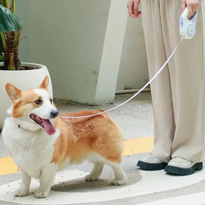 Outdoor Dog Leash With LED Light