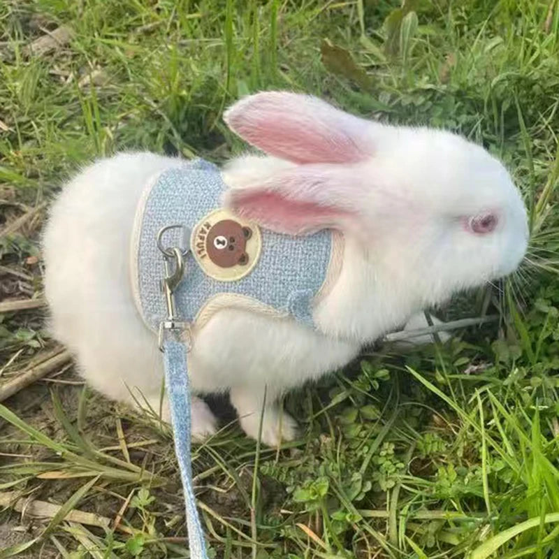 Outdoor Rabbit Harness & Leash