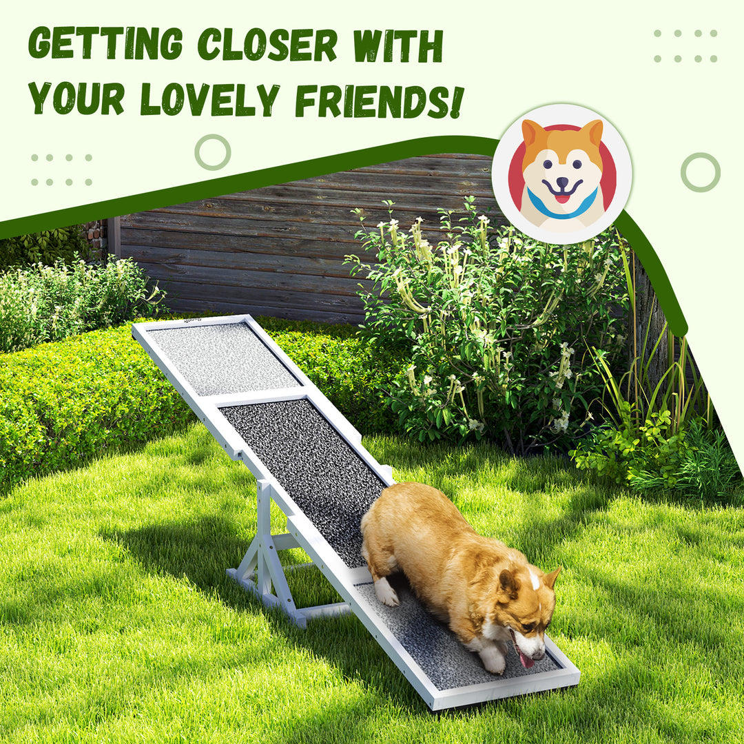 Outdoor dog seesaw balance trainer