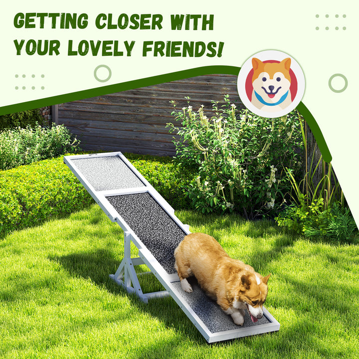 Outdoor dog seesaw balance trainer