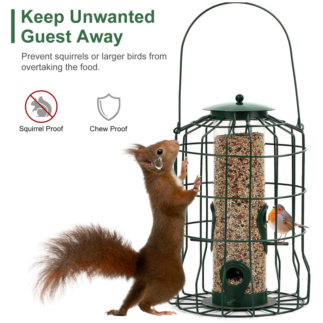 Outdoor hanging feeder for backyard birds