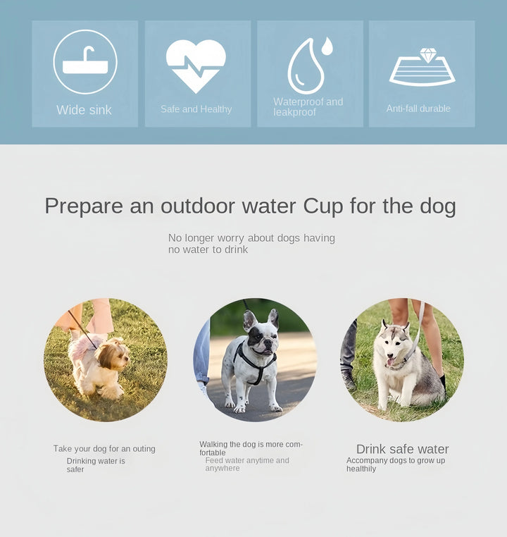 Outdoor pet hydration bottle