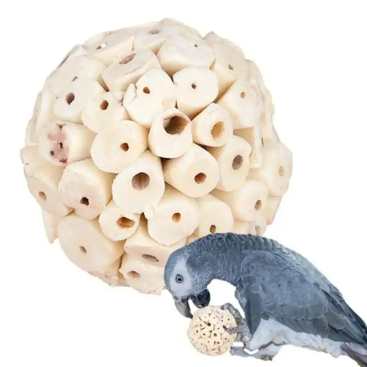 Parakeet Chewing Toy