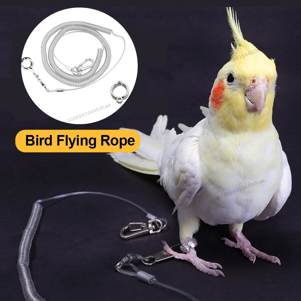 Parrot Alloy Foot Ring