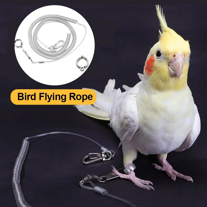 Parrot Anti-Flying Traction Rope