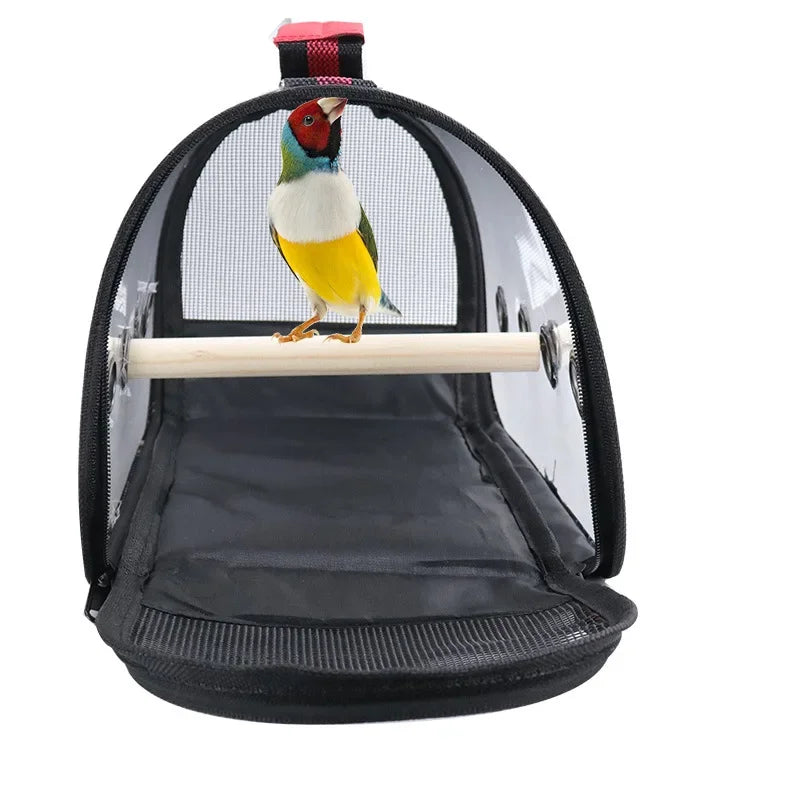 Parrot Backpack for Travel