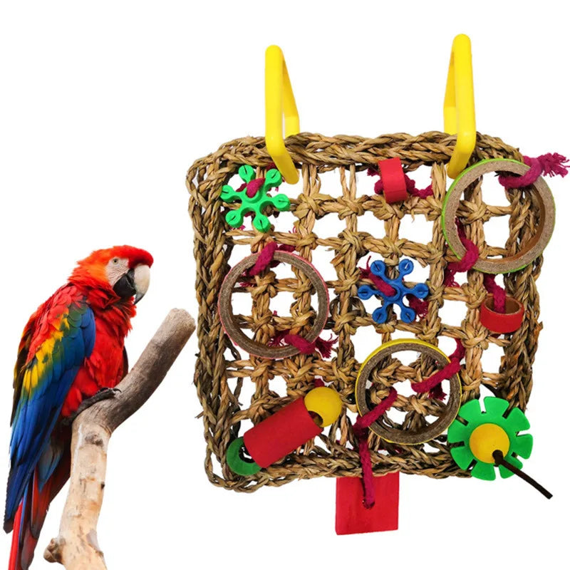Parrot Bird Toys for Interactive Play and Training