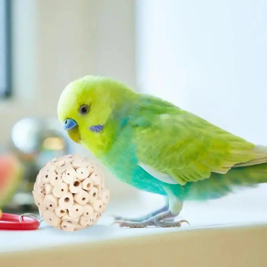 Parrot Chew Shred Ball