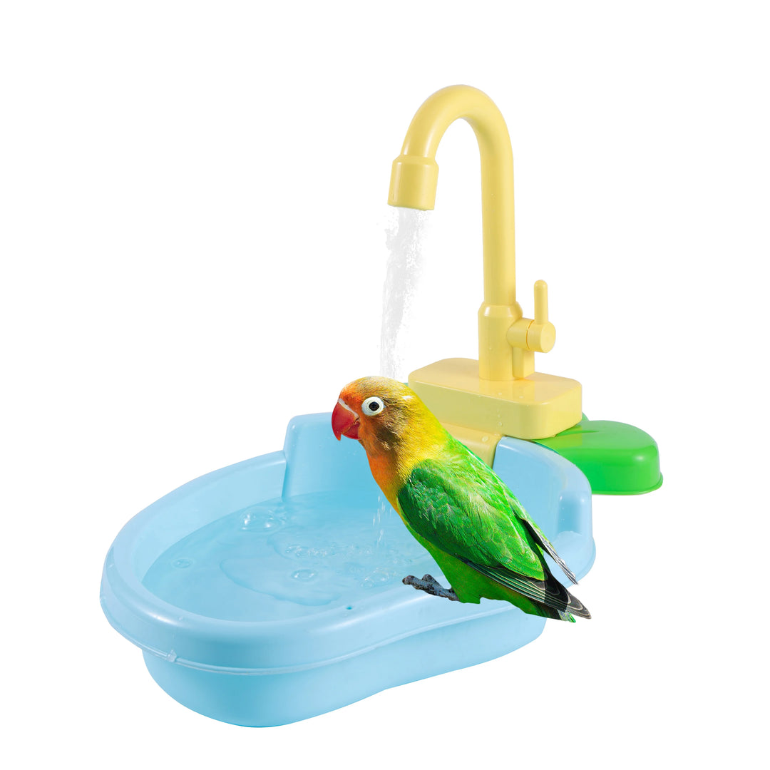 Parrot Enjoying Bird Shower