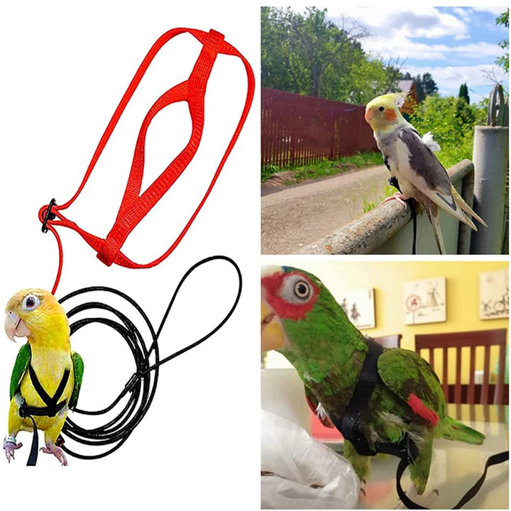 Parrot Flying Rope with Harness