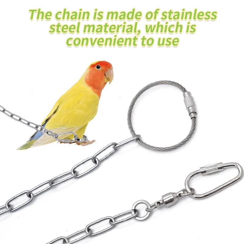 Parrot Flying Training Ring