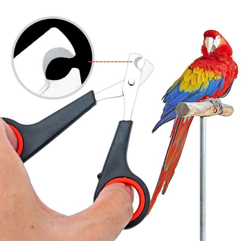 Parrot Grooming Nail Clipper