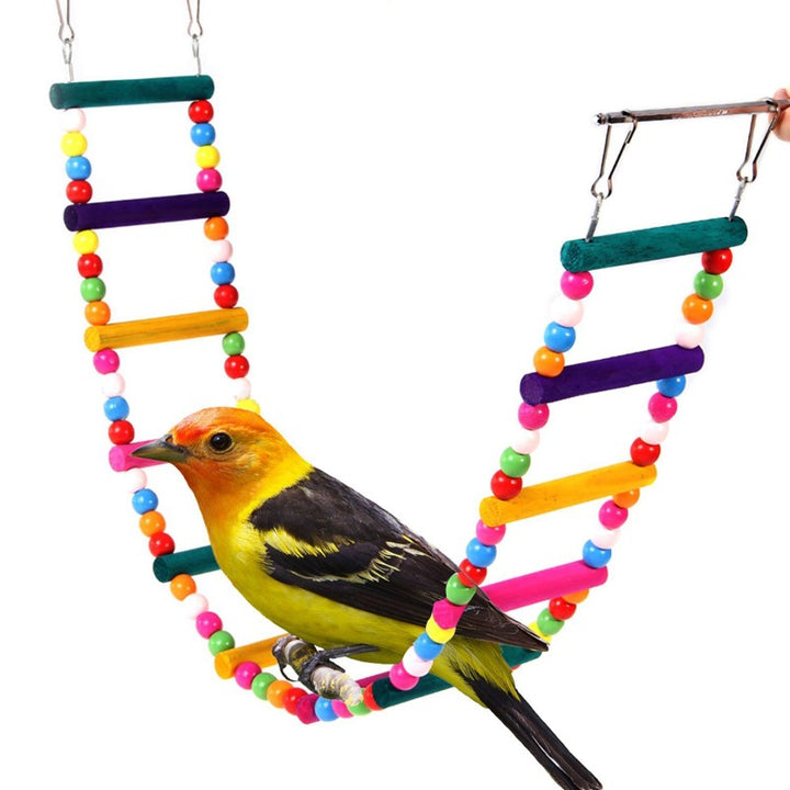 Parrot Hammock with Ladder