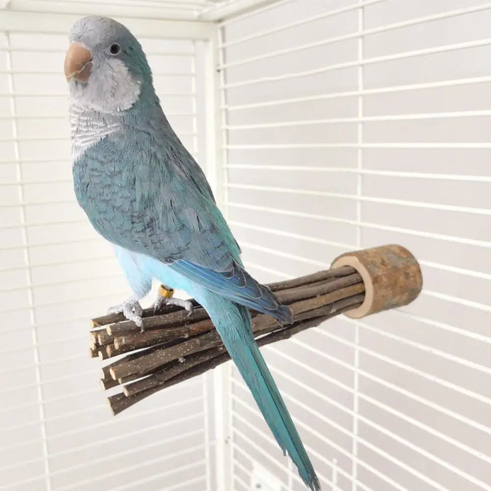 Parrot Perch with Tree Branch