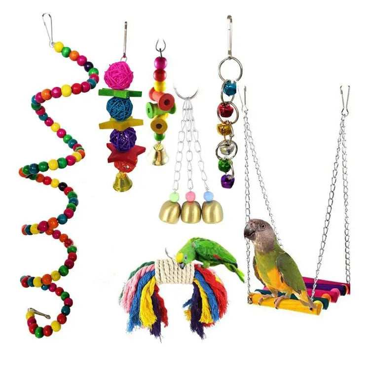 Parrot Swing and Toy