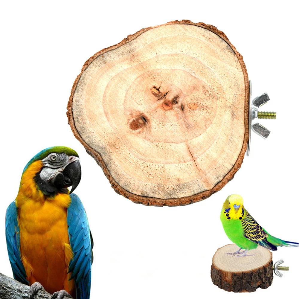 Parrot Wooden Pier Stand Platform