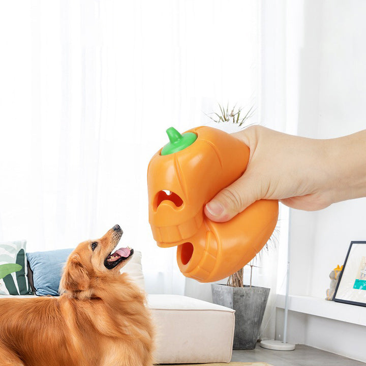 Person holding a pumpkin-shaped dog toy
