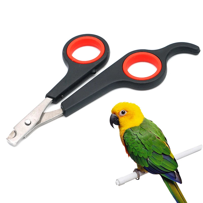 Pet Bird Nail Scissors Clipper