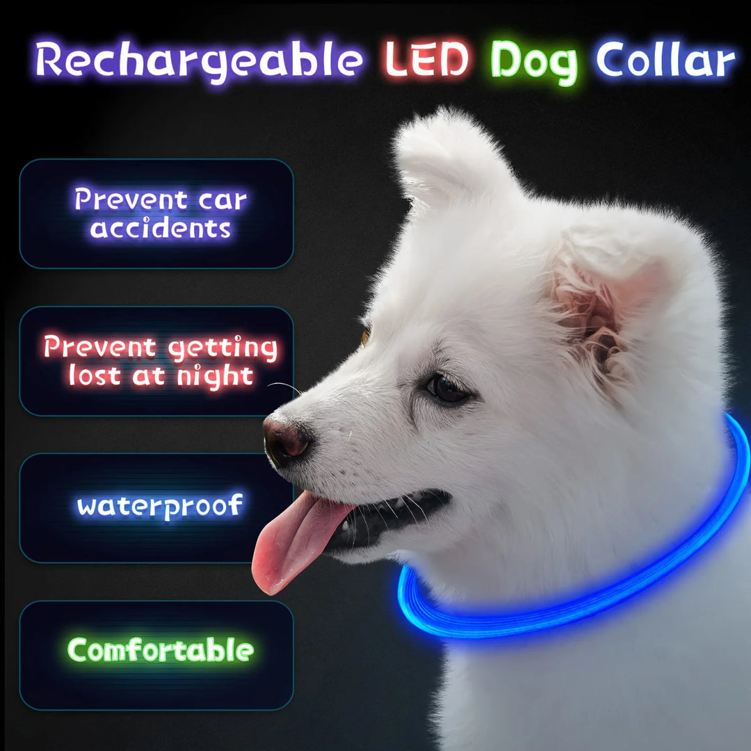 Pet Collar with USB Luminous LED