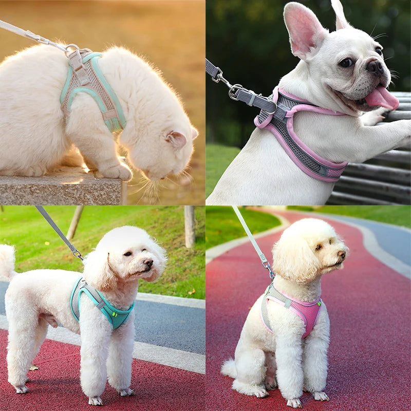 Pet Harness & Leash Combo