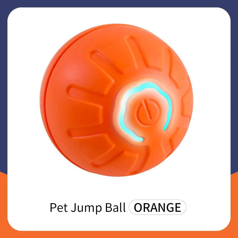 Pet Jump Ball