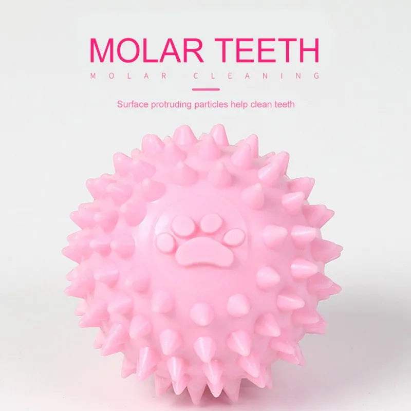 Pet Rubber Ball for Tooth Cleaning