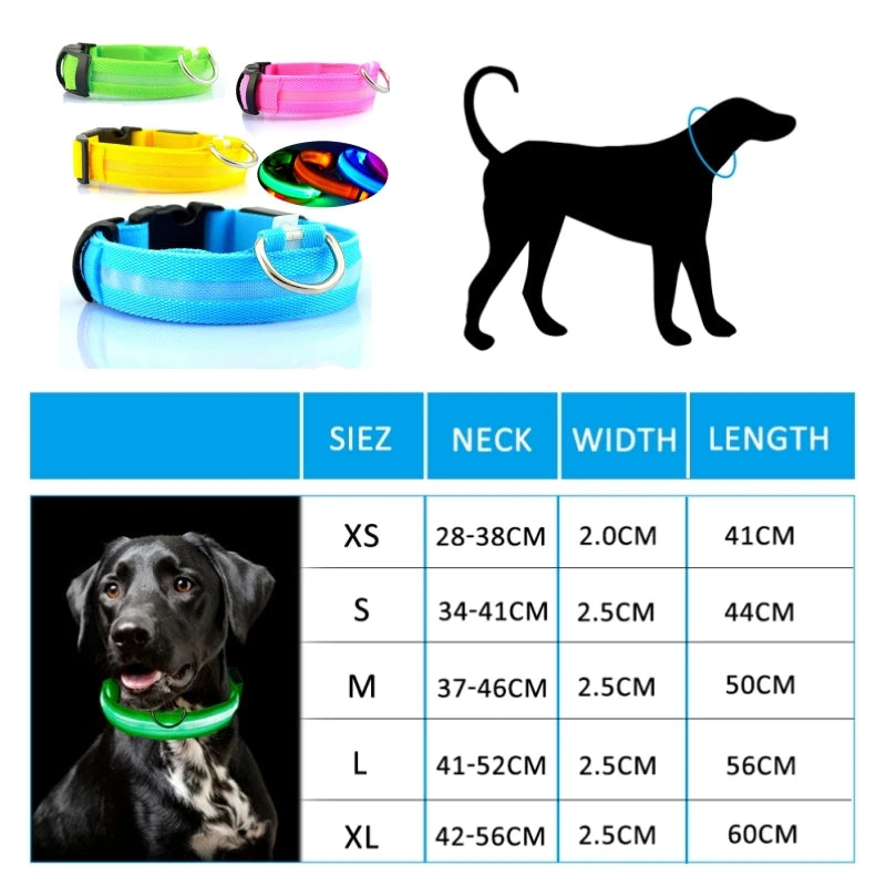 Pet Safety Light Collar for Puppies